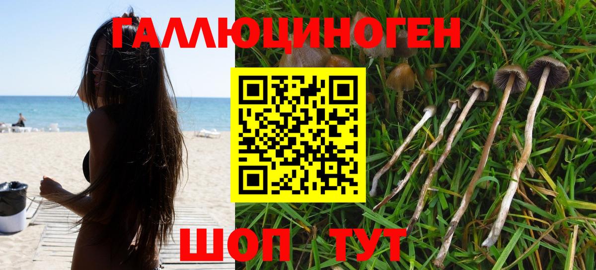 Галлюциногенные грибы мицелий Прохладный